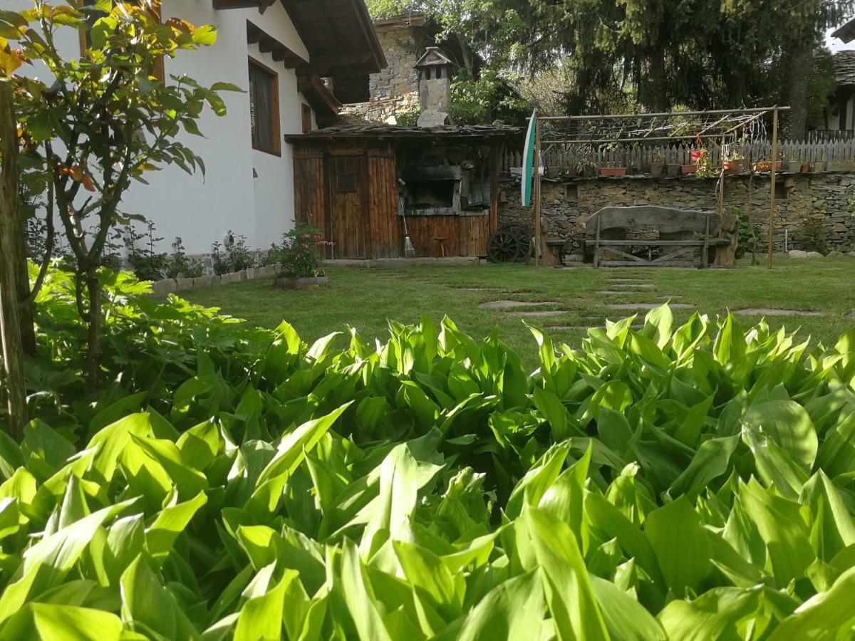 Слънчевата Къща Hotel Kovacsevica Kültér fotó
