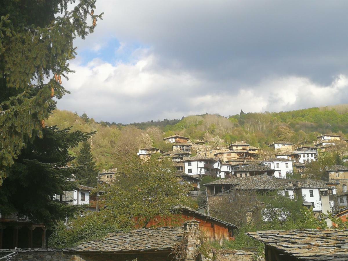 Слънчевата Къща Hotel Kovacsevica Kültér fotó